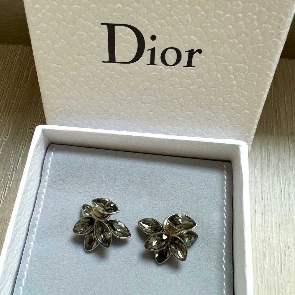 Dior Crystals earrings